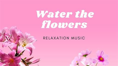 Relaxation Music For Every Day Water The Flowers Поливать цветы Youtube