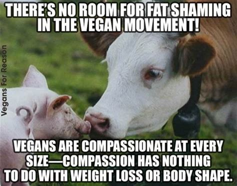 7 Things About Going Vegan That Have Really Surprised Me Fat Shaming