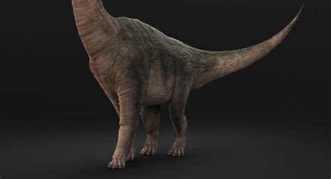 Mar 15, 2012 · the fact that the material from africa was more complete allowed paleontologists to get a better idea of just how big the dinosaur was— brachiosaurus brancai reached over 80 feet long and may have. Brachiosaurus Rigged — Missset