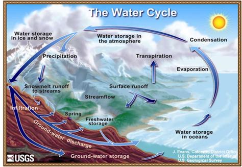 Ciclo Del Agua Ciclo Hidrologico Ciencias De La Tierra