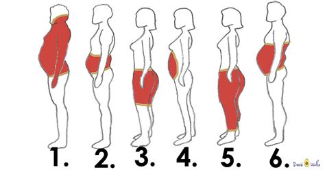 What Does Location Of Your Body Fat Reveals About You And What To Do