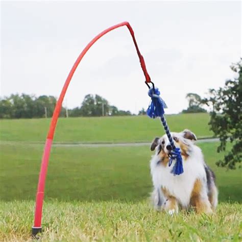 Tether Tug Interactive Dog Rope Toy That Keeps Your Dog Active All