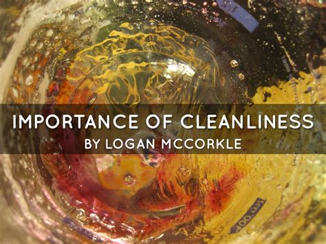 Importance Of Cleanliness By Logan Mccorkle