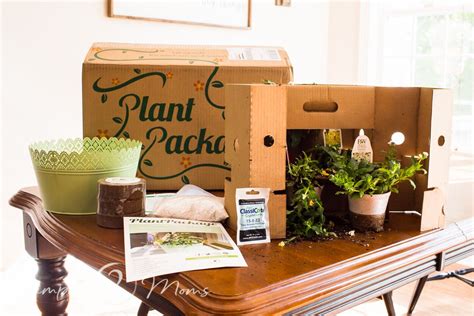 Plant Package Gardening Subscription Box Plants Plant Box Grow Kit