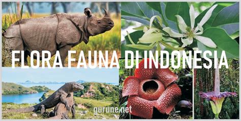 Menggambar flora fauna dan alam benda suksesseluruhtest mulailah berlatih dari bentuk flora fauna dan benda buatan manusia yang paling sederhana dan bisa digambar 1 teknik menggambar flora menggambar flora tumbuh 10 ragam hias flora beserta dengan penjelasannya satu jam. Gambar Tema Flora Dan Fauna