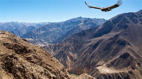 Bbc Travel Exploring Perus Epic Colca Canyon