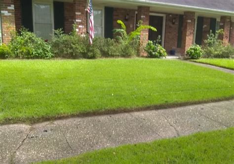 1 New Orleans La Lawn Care Service Lawn Mowing From 19 Best 2020