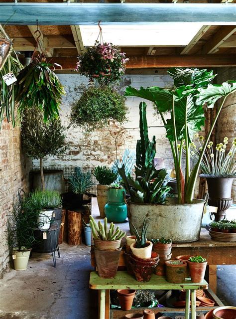 7 Easy Ways To Create Botanical Style At Home Decor8 Botanical