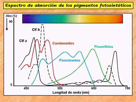 Sobre La Variabilidad Del Espectro De La Luz Solar