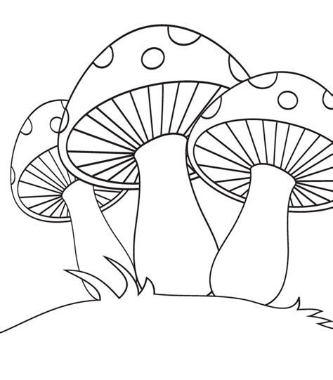 Mushroom Printable Coloring Pages Printable World Holiday