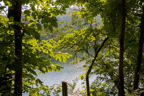 Owner Financed Land With Well And Septic Missouri