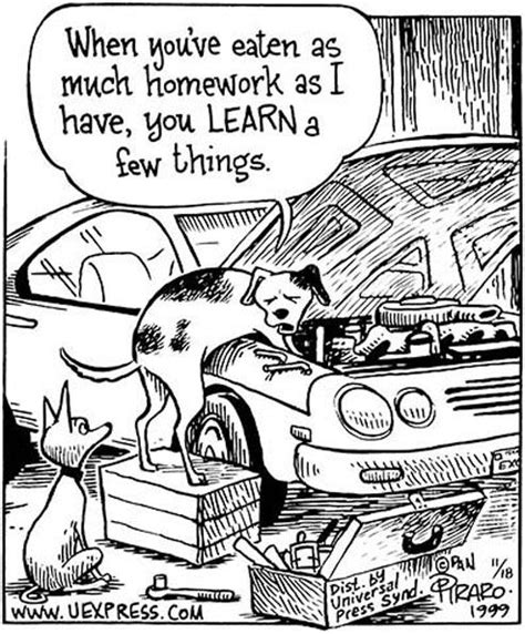 Dogs — Bizarro Comic About A Smart Dog Fixing A Car Funny Cartoons