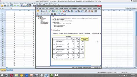 Cara Menghitung Uji Normalitas Dan Uji Reliabilitas Menggunakan Spss Porn Sex Picture