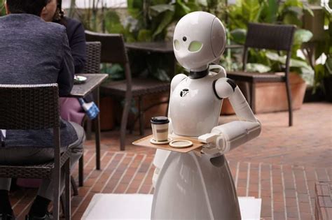 Un Robot Serveur Pour Révolutionner Le Service à Table
