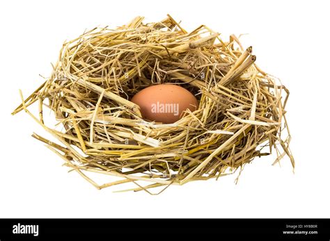Egg Hay Hi Res Stock Photography And Images Alamy