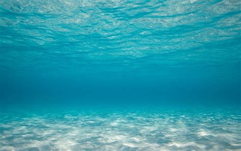 Hd Wallpaper Sustainability Mar Environment Ocean Blue