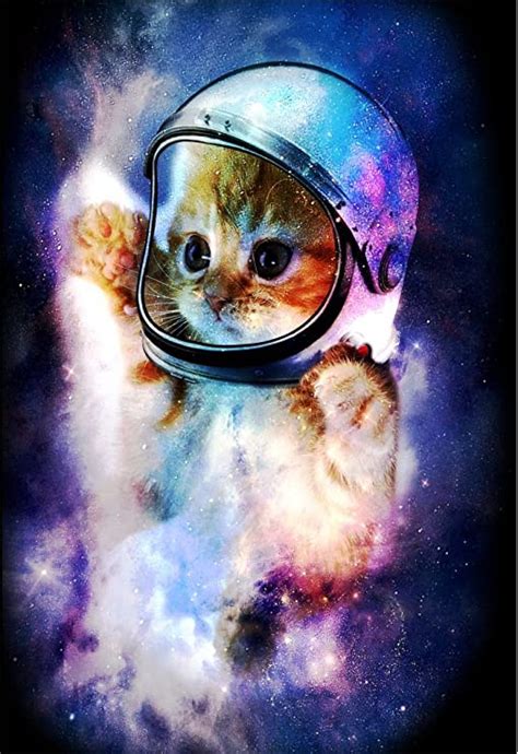 Space Cat Kittensfromspace