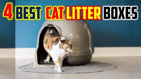 Best Automatic Litter Boxes Review In 2023 Top 4 Best Cat Litter
