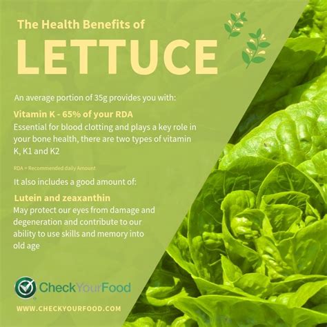 The Health Benefits Of Lettuce Nutrition Healthy Eating Personalized
