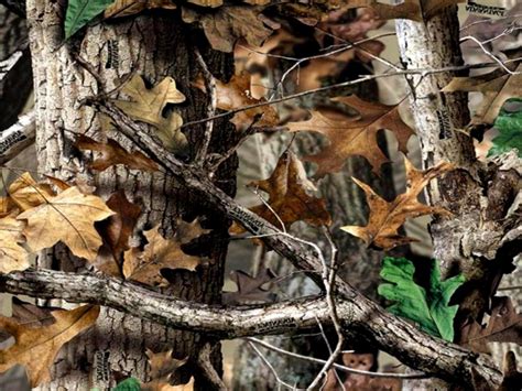 Feel free to download, share, and comment on every wallpaper you like. Realtree Camo Hd Backgrounds Pixels Hd Wallpapers ...