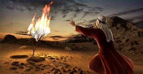2 facts about moses and the burning bush backseat media