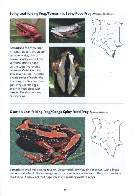 The Amphibians Of Kenya Nhbs Field Guides And Natural History