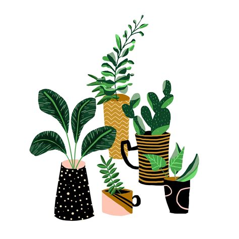 Potted Plants By Print Designerillustrator Rose England