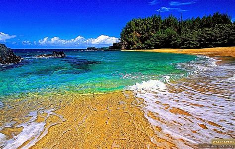 Hawaii Beach Wallpapers Top Free Hawaii Beach Backgrounds