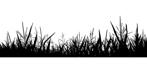 Grass Silhouette Png 13 Clipart World