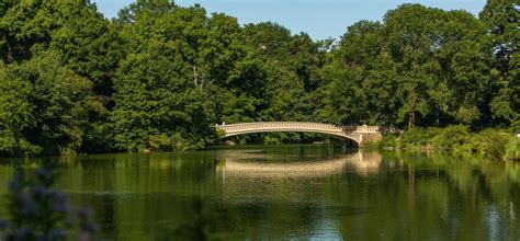 Bow Bridge Central Park Conservancy