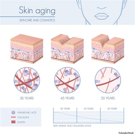 Ganzheitlich betrachtet geht schönheit über die äußere hautpflege hinaus. Anti-Aging von Innen: Kollagen-Pulver