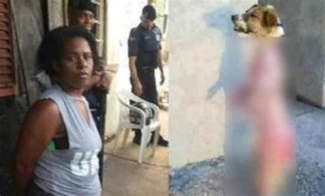 Uma mulher foi presa no Brasil por vender espetinho de cachorro Portal Pebinha de Açúcar