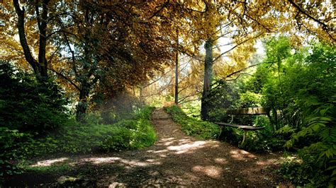 Nature Bench Path Sunlight Shadow Dirt Road Wallpapers Hd