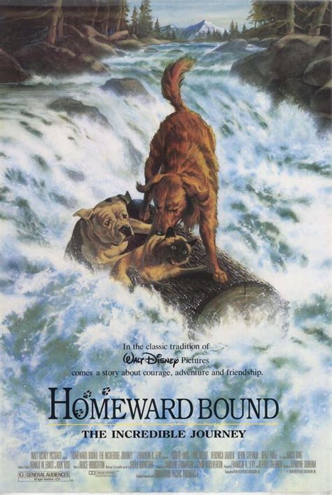 In the beginning of the movie, chance chased sassy around at a wedding and unfortunately destroyed the wedding cake in the process. Homeward Bound: The Incredible Journey | Disney Wiki ...