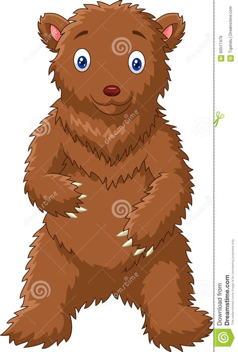 Cartoon Big Bear Standing With White Background Stock