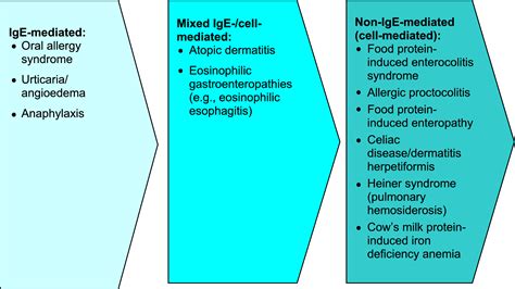 There's a greater risk of anaphylaxis with this type of allergy. IgE-mediated food allergy | Allergy, Asthma & Clinical ...