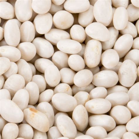 Dried Small White Beans 20 Lb