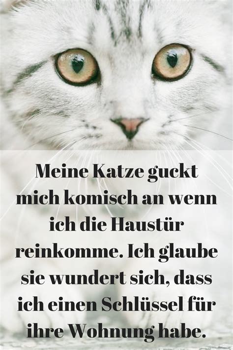 Wenn man der werbung glauben schenkt, dann steckt in den dosen nur das allerbeste von. Meine Katze guckt mich komisch an wenn ich die Haustür ...