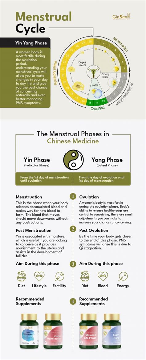 Understanding Menstrual Cycle Fertility And Chinese Medicine Phases