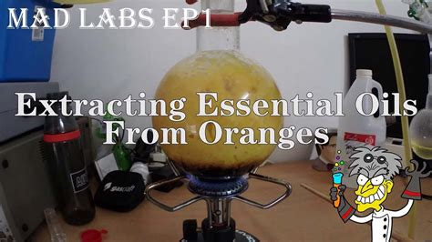 Mad Labs Ep1 Orange Essential Oil Extraction Steam Distillation