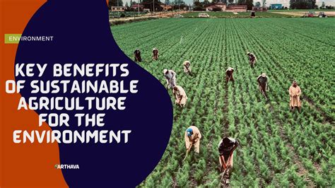 Key Benefits Of Sustainable Agriculture For The Environment Earthava