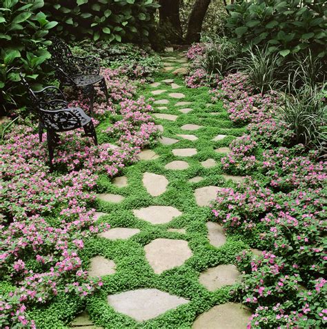 Cover Backyard Bald Spots With These Ground Cover Flowers Dream