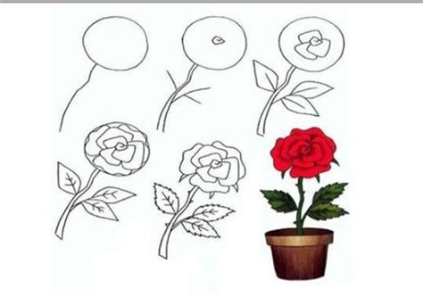 Cách Vẽ Hoa Hồng đẹp đơn Giản Nhất Dành Cho Mọi Người