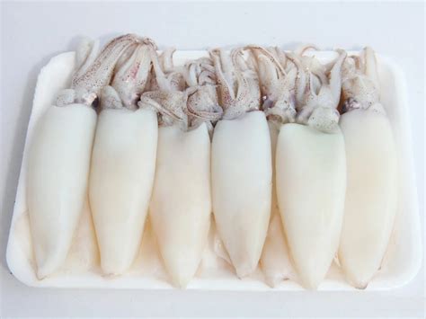 High Quality Frozen Fresh Squid With Ce Eu Certificate Wholesale
