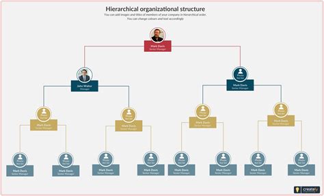 Organizational Chart And Hierarchy