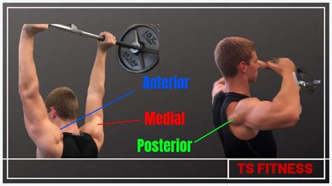 Complete Shoulder Workout For Massstrength Hit All 3 Parts Youtube