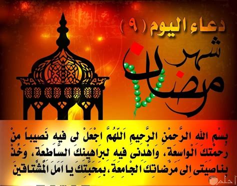 تارا عماد مع خالد الصاوى فى فيلم شريط 6 8 صور نجمات يثرن الجدل بفساتين مكشوفة في مهرجان الجونة 2019 تفاصيل فيلم الفلوس 2019 بطولة تامر حسنى تفاصيل عن فيلم. صور ادعية رمضانية بمناسبة قرب الشهر الكريم