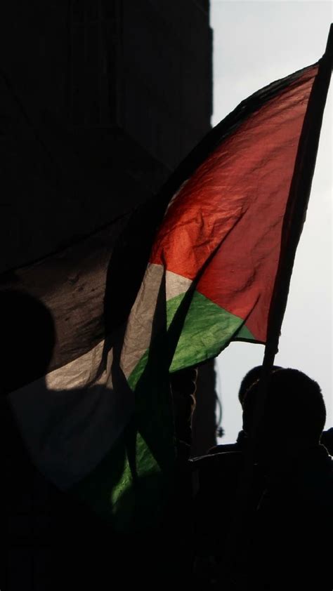 Kumpulan wallpaper gambar save palestina terbaru 2017 via 4gpro.us. #Palestine #wallpapers | Wallpaper ponsel, Pemandangan, Gambar
