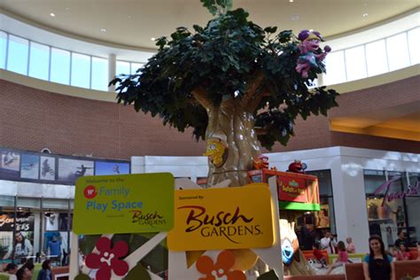 Whether you're looking for freshly baked breadsticks or perfectly made pasta, olive garden has something for any appetite. Brandon Fla. mall debuts new Sesame Street Safari of Fun ...