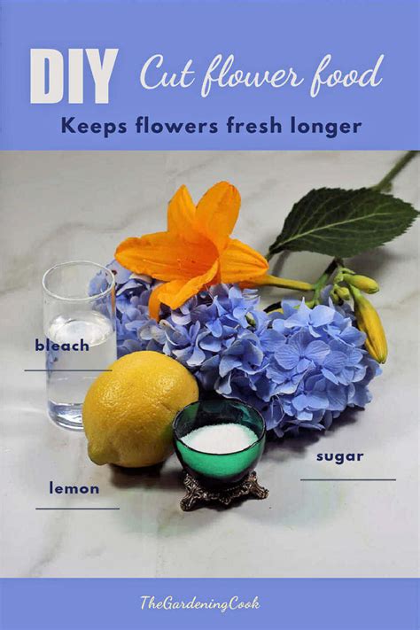How To Keep Cut Flowers Fresh 15 Tips For Making Cut Flowers Last